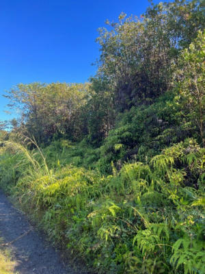 ROAD 3 (HOPUE), MT. VIEW, HI 96771, photo 2 of 15