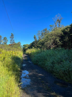 ROAD 3 (HOPUE), MT. VIEW, HI 96771, photo 5 of 15