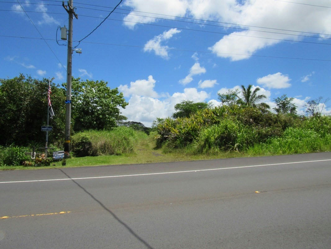 17-990 OLD VOLCANO TRAIL, MOUNTAIN VIEW, HI 96771, photo 1 of 13