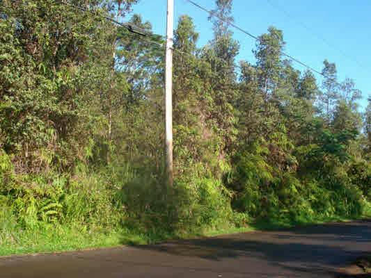 MAYZEE RD, PAHOA, HI 96778, PAHOA, HI 96778, photo 3 of 10