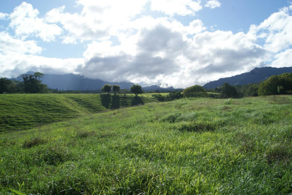 OLOHENA RD, KAPAA, HI 96746, KAPAA, HI 96746, photo 4 of 13