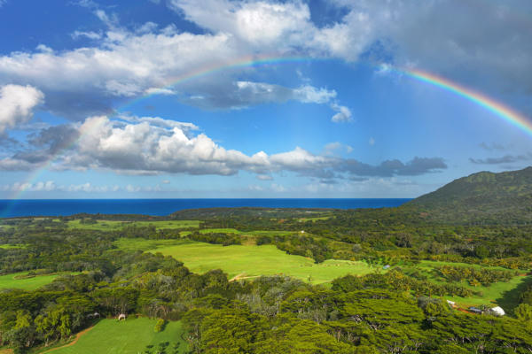 KAPUNA RD, KILAUEA, HI 96754, KILAUEA, HI 96754 - Image 1