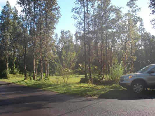 MAYZEE RD, PAHOA, HI 96778, PAHOA, HI 96778, photo 2 of 10