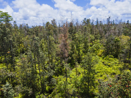 AULII ST, KEAAU, HI 96749, KEAAU, HI 96749, photo 5 of 15