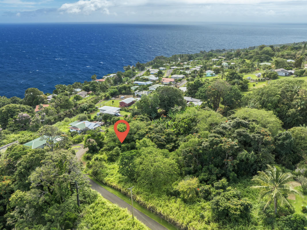 PUUALAEA HOMESTEAD RD, LAUPAHOEHOE, HI 96764, LAUPAHOEHOE, HI 96764, photo 1 of 9