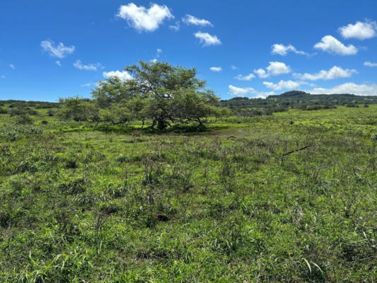 56-2839 HONOIPU PUUHUE RD, HAWI, HI 96719 - Image 1