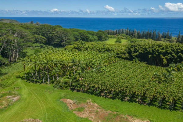 28-1829 OLD MAMALAHOA HWY, HONOMU, HI 96728, photo 2 of 27