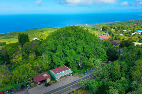 79-7288 MAMALAHOA HWY, KEALAKEKUA, HI 96750 - Image 1