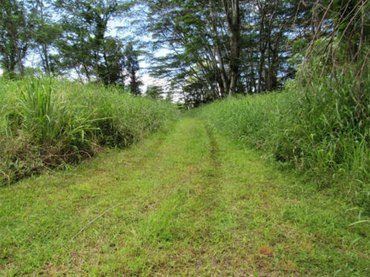 17-990 OLD VOLCANO TRAIL, MOUNTAIN VIEW, HI 96771, photo 4 of 13