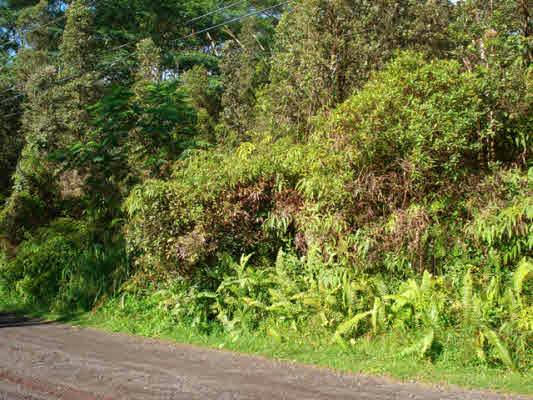 MAYZEE RD, PAHOA, HI 96778, PAHOA, HI 96778, photo 4 of 10