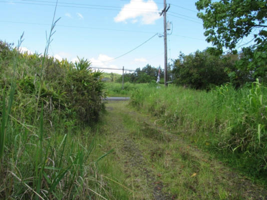 17-990 OLD VOLCANO TRAIL, MOUNTAIN VIEW, HI 96771, photo 2 of 13