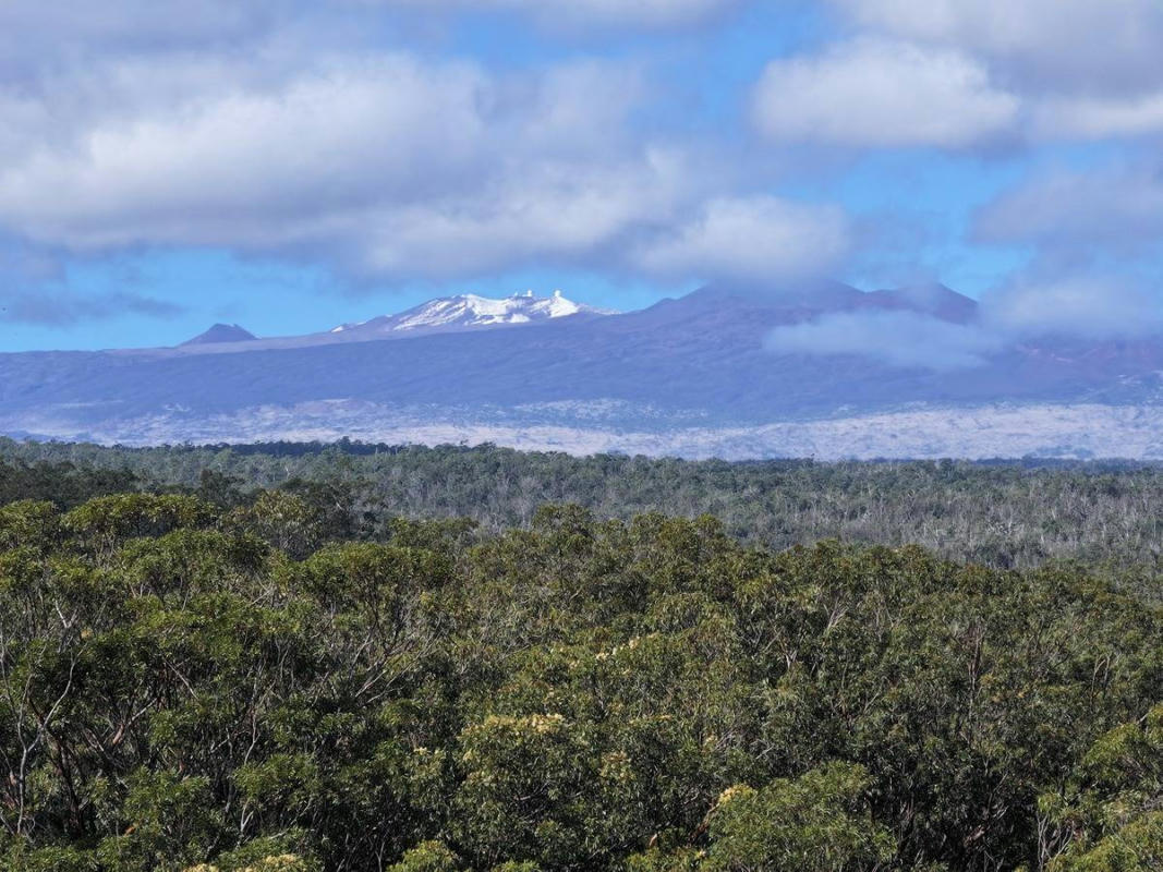 29-820 CHIN CHUCK RD # LOT6, HAKALAU, HI 96710, photo 1 of 4